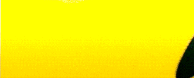 500_202
