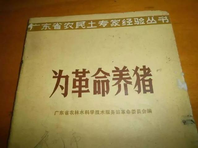 有钱的丁磊千亿身价,有趣的丁磊万里挑一