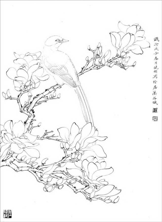 百花白描画稿,赶紧收藏了!