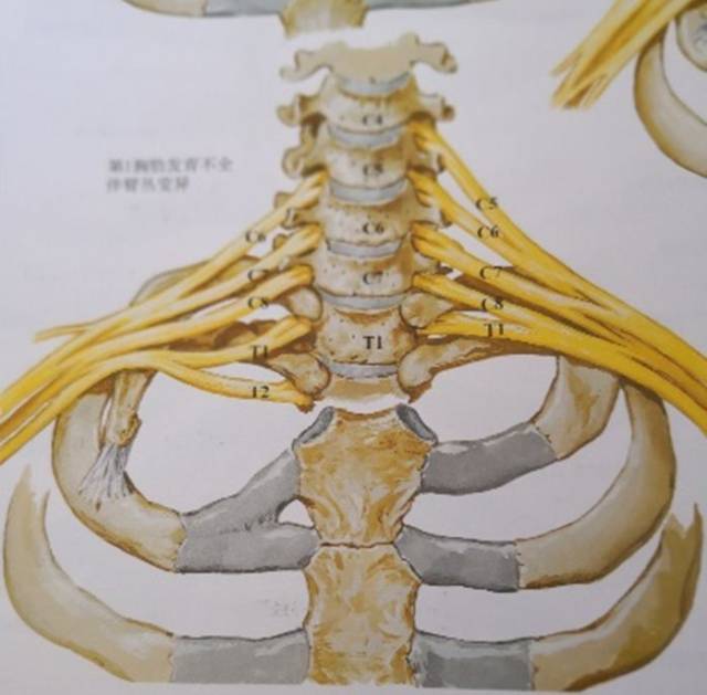 肩颈综合征的诊断,鉴别和疗法,了解一下?