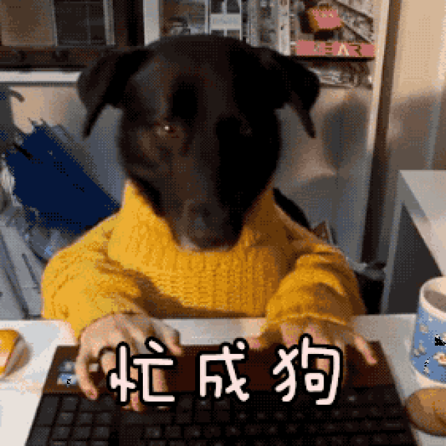 每天早晨像上战场,
