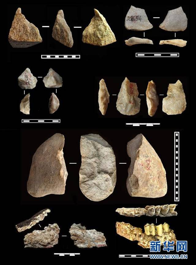 出土于上陈旧石器遗址的距今约212万年的部分旧石器和动物化石(资料