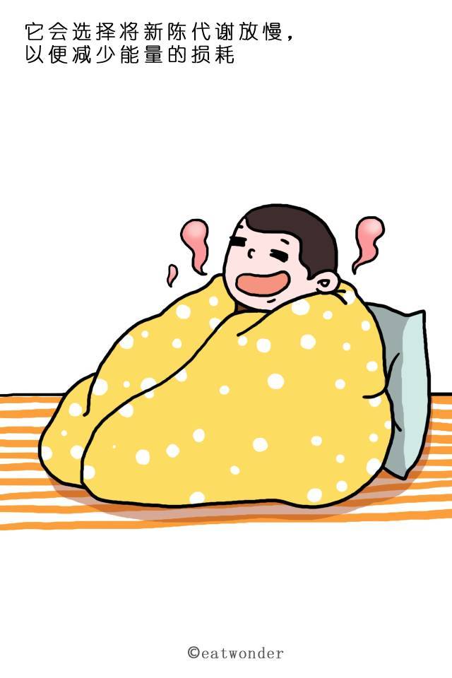 【送给减肥的你】为什么少吃多锻炼却瘦不了?-搞笑