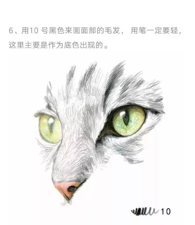 彩铅教程--教你画晶莹剔透的猫眼和猫毛的走向刻画