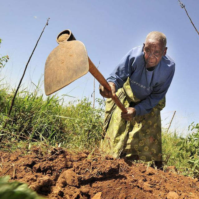 农民乐开花,挖地不用锄头,一双"挖地手套"可开1亩地