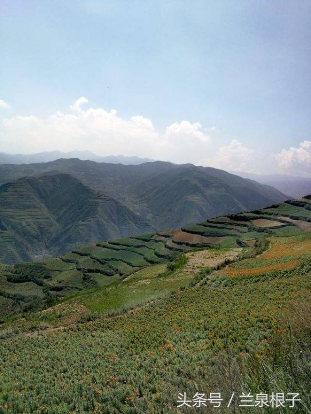 兰州南部山区七里河阿干镇大水子梁-旅游频道-手机搜狐