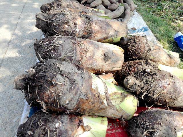 马云说十年后的农村(最昂贵的东西,但要珍惜保