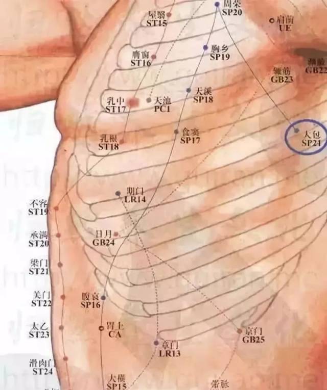 【南石健康】学习"揉脾经",能揉掉很多慢性病