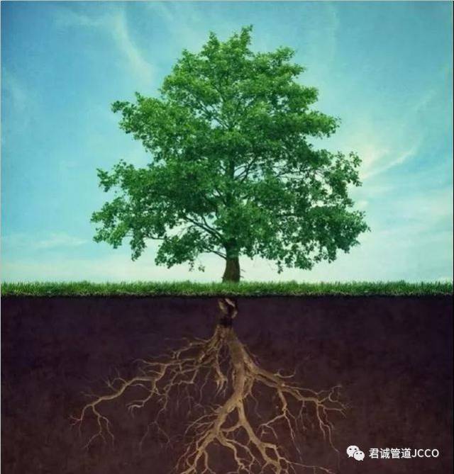 欲为大树,莫与草争!