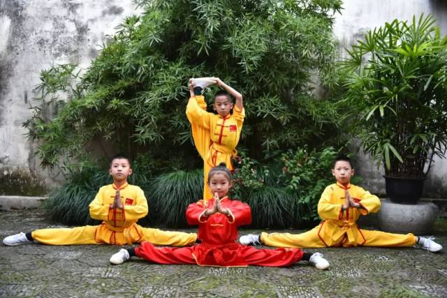 武术体系众多,针对不同性别,年龄层次都有相应的武术种类可以学习