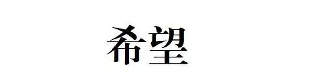 头的目光和神情,都化作了屏幕上那个渐渐放大而又消失于眼前的两个字