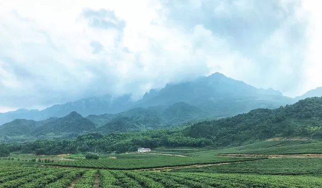 玩转暑假|青少年大自然徒步探秘之旅-身心灵全