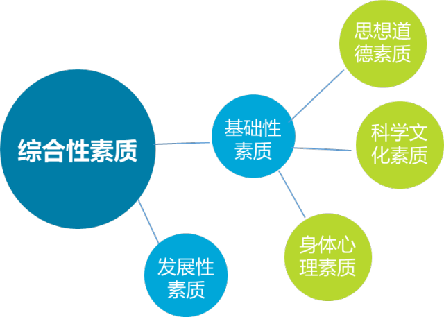 学生综合素质画像关系图