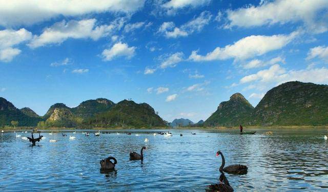 普者黑天鹅湖位于丘北县普者黑国家级风景名胜区,国家4a级旅游景区内