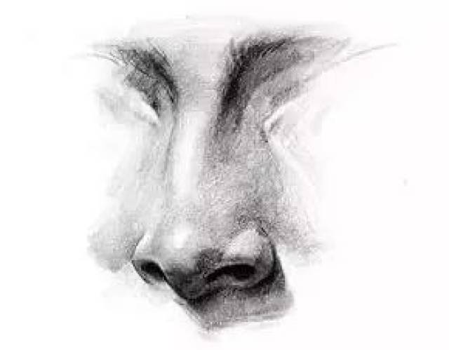 杭州著名画室素描小技巧之鼻子,了解其中的 "结构关系