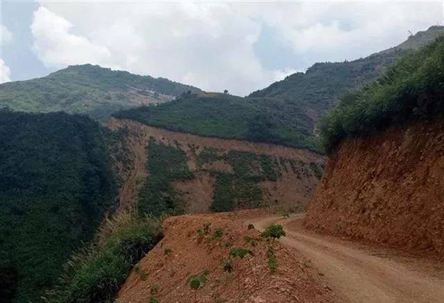 这里山上山下聚居着崇阳县路口镇绿化村,通山县楠林桥镇雨山村数千