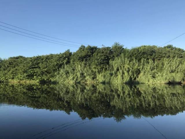 上周六野钓鱼获 虽说不多 但大家玩得很H