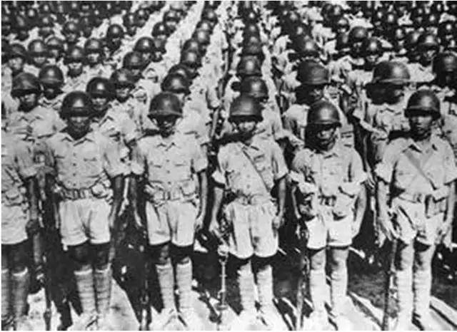 揭秘抗战时期侵华日军师团编制,中国步兵师与