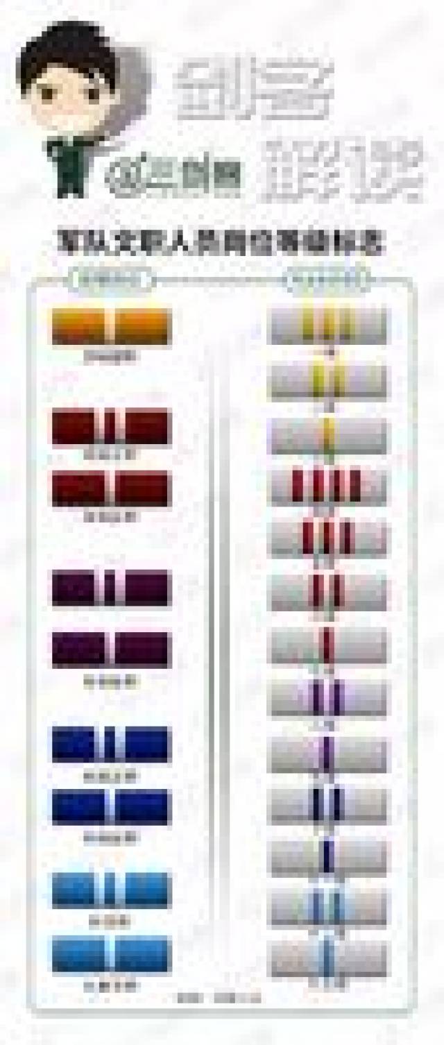 军队文职人员级别标识解读