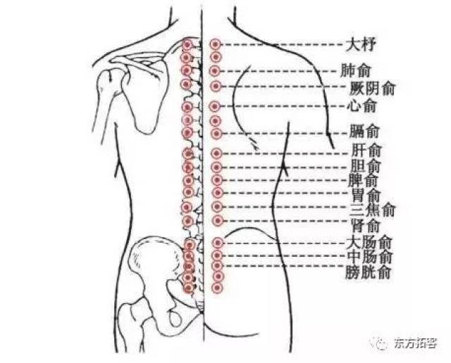 【便血(肠出血)】天枢,温溜,合谷,大肠俞,秩边,阳陵泉,承山,梁丘.