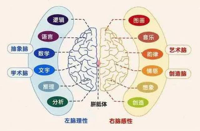 大脑开发的七大优势!图片