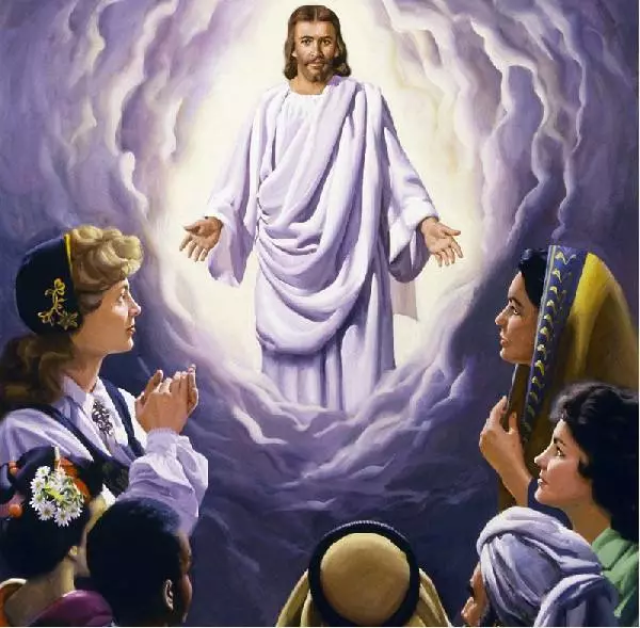 男人可以怀孕,人跟猩猩谈恋爱给这电影脑洞跪了!