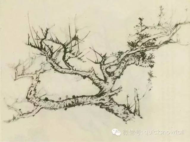 一学就会,传统树的画法