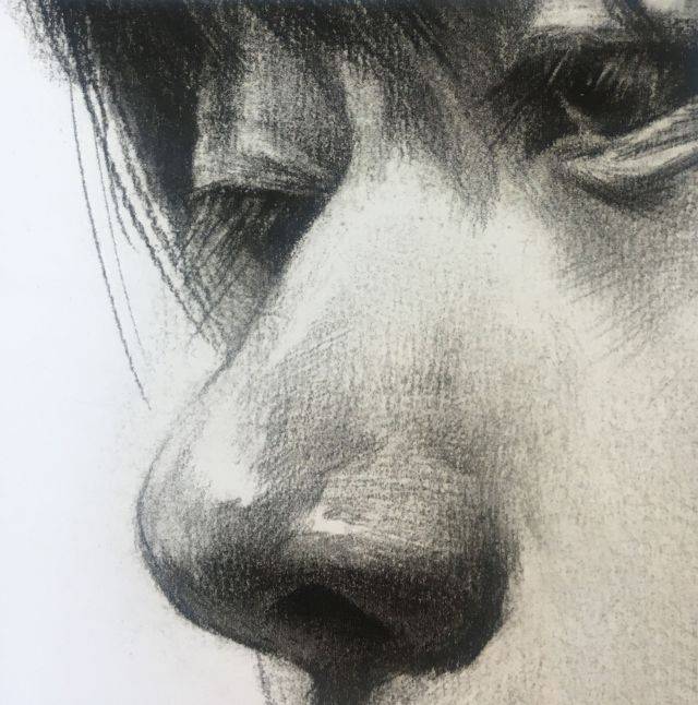 杭州著名画室素描小技巧之鼻子,了解其中的 "结构关系