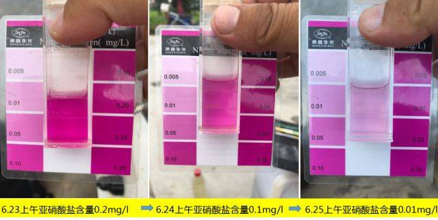 2)调水前后亚硝酸盐对比