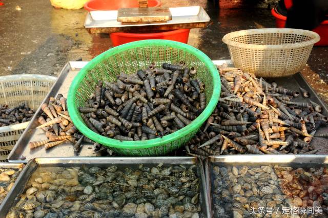 夏日青岛 海鲜生意买卖好 扇贝15元2斤 海兔子