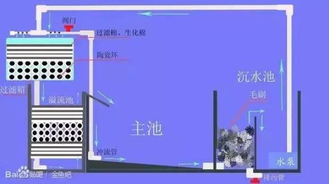 阳台鱼池这样装就对了,这是我见过最详细的最漂亮的鱼池!