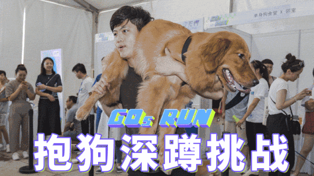 在宠界,在gosrun,解锁酷炫遛狗