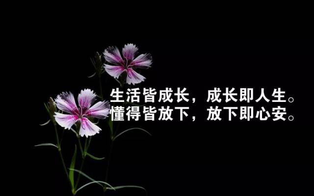 好的句子简短 e519f807c5294a8297cb82aa9b7694a4.jpeg