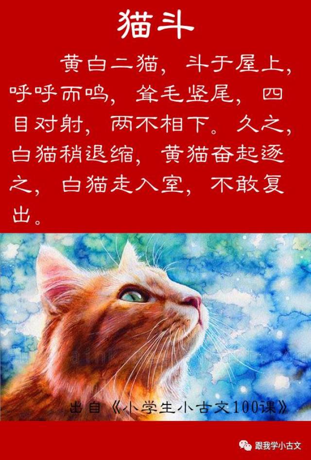 小古文诵读猫斗10011