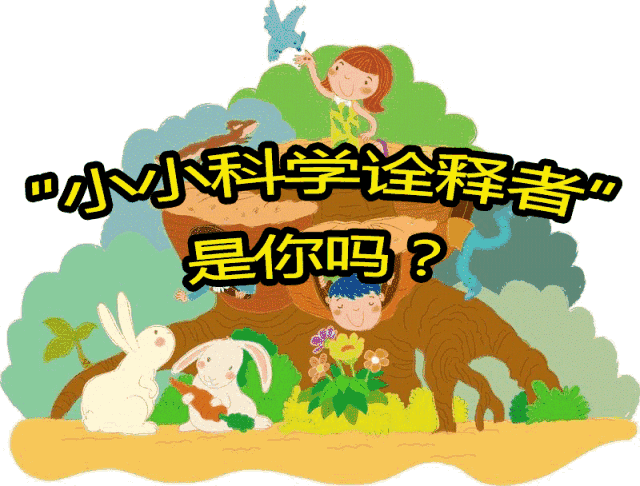 还不赶紧报名和闵闵一起去学扎染,diy造纸