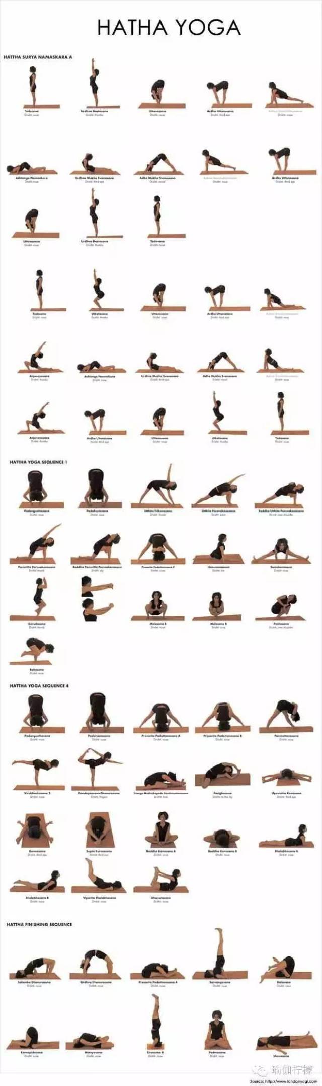 你现在练习的任何一种流派,都是以哈他瑜伽为基础,它是从零开始锻炼你
