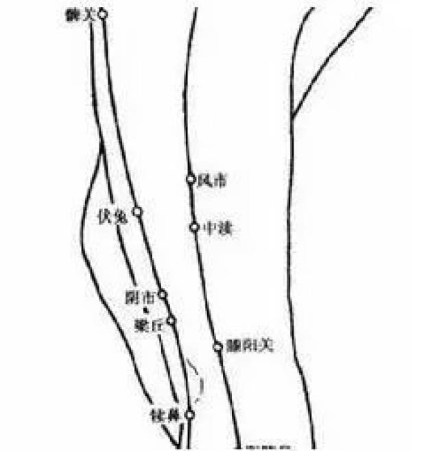 大都,太白,公孙,商丘,三阴交,脾胃经上的除湿热大穴要劳记