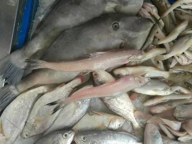 凌晨突击 持续高压,县网页游戏私服推荐市场监管局紧抓“一打三整治”不放松