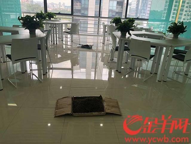 公司出具甲醛未超标报告 职工却怀疑甲醛超标