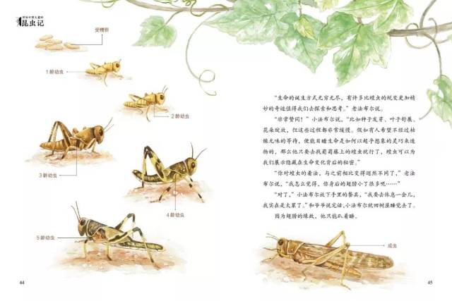 《写给中国儿童的昆虫记》以小法布尔作为"昆虫侦探"的魔幻冒险故事