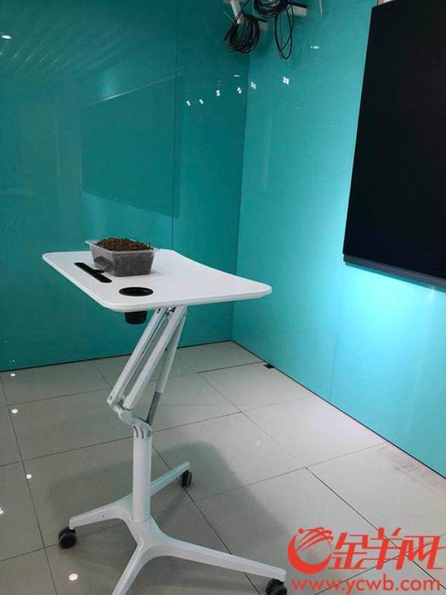 公司出具甲醛未超标报告 职工却怀疑甲醛超标