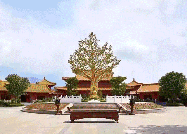 寺庙有一座户外仿金铜铸金菩提圣树,溯源佛祖菩提树下悟道成佛之典故.