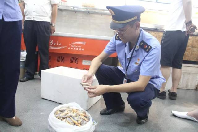 凌晨突击 持续高压,县网页游戏私服推荐市场监管局紧抓“一打三整治”不放松