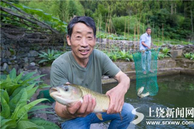 近年来,该村积极引导村民发展高山冷水鱼养殖业,创建了"合作社 农户"