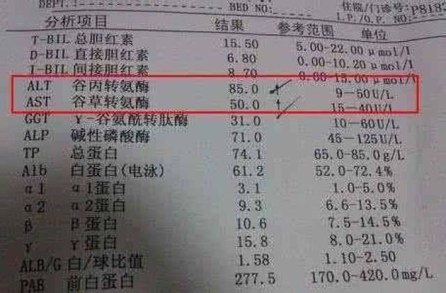 有些患者的转氨酶指数可能会高至400以上,是正常指数的十倍.