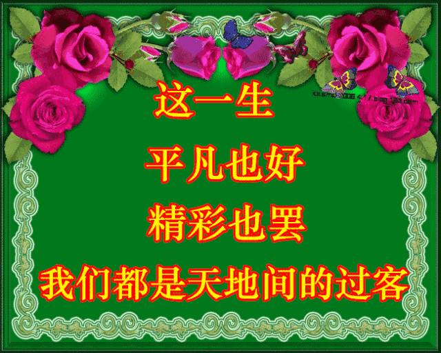 周二早上好,新的一天新的开始(7月17号)