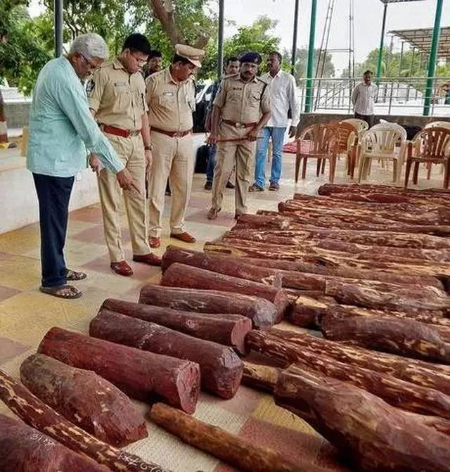 千吨走私大佬落网、印高官家属公司牵涉! 又一名千吨级紫檀走私大佬落网!--盘点小叶紫檀走私