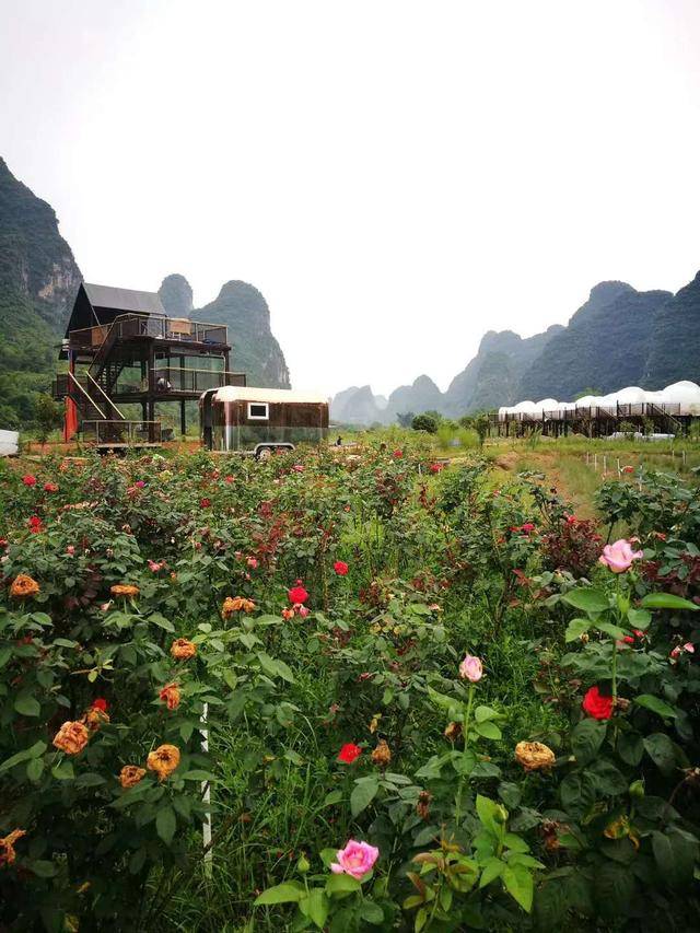 荡漾山水与花海间,桂林阳朔星空窝