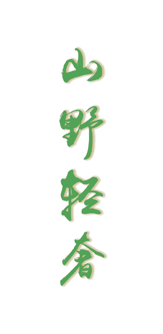 640_1313 竖版 竖屏