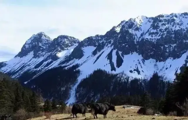 香格里拉丨香巴拉旅游小镇附近,居然有这么多好玩的景点